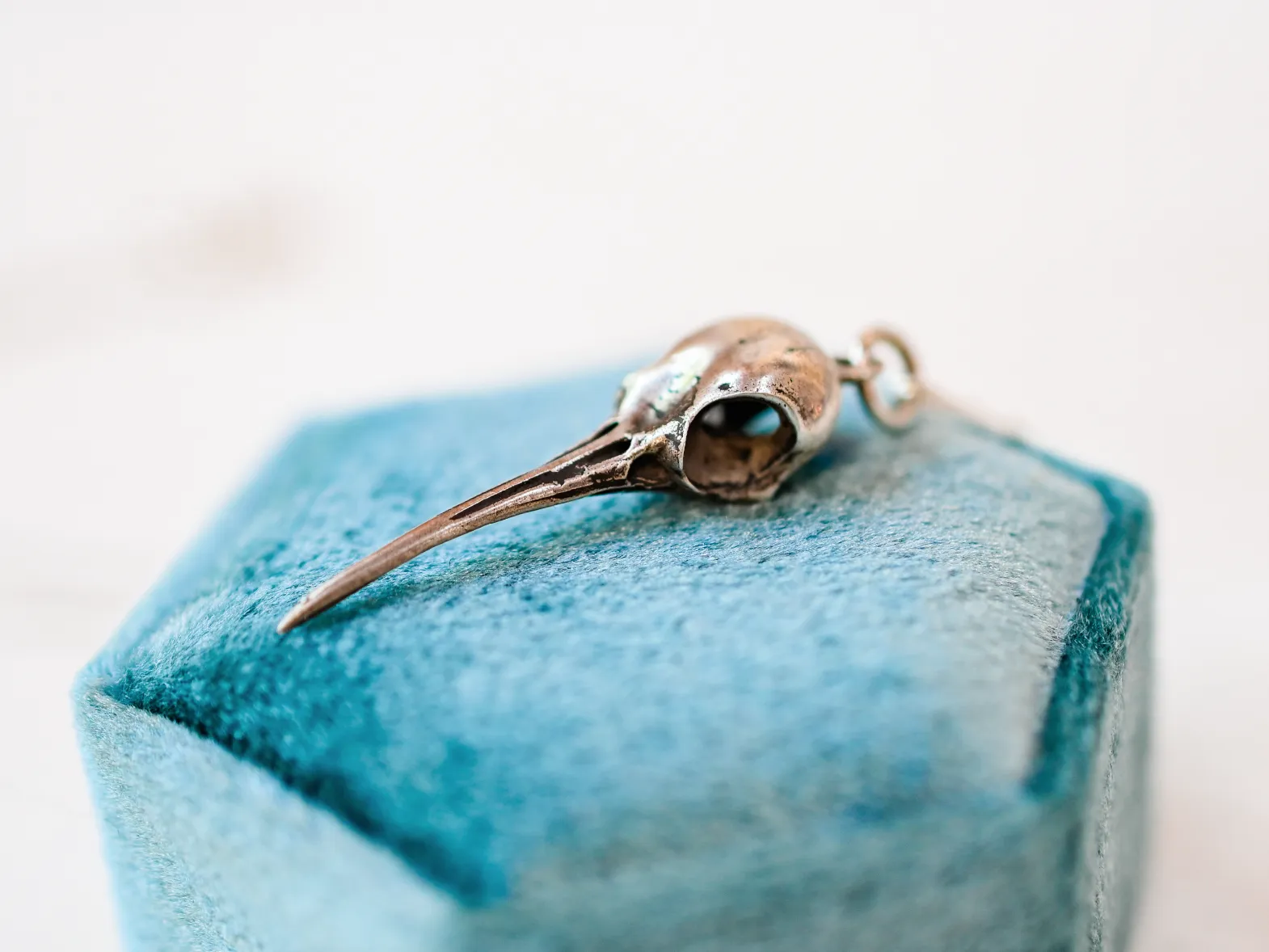 Cast Hummingbird Skull