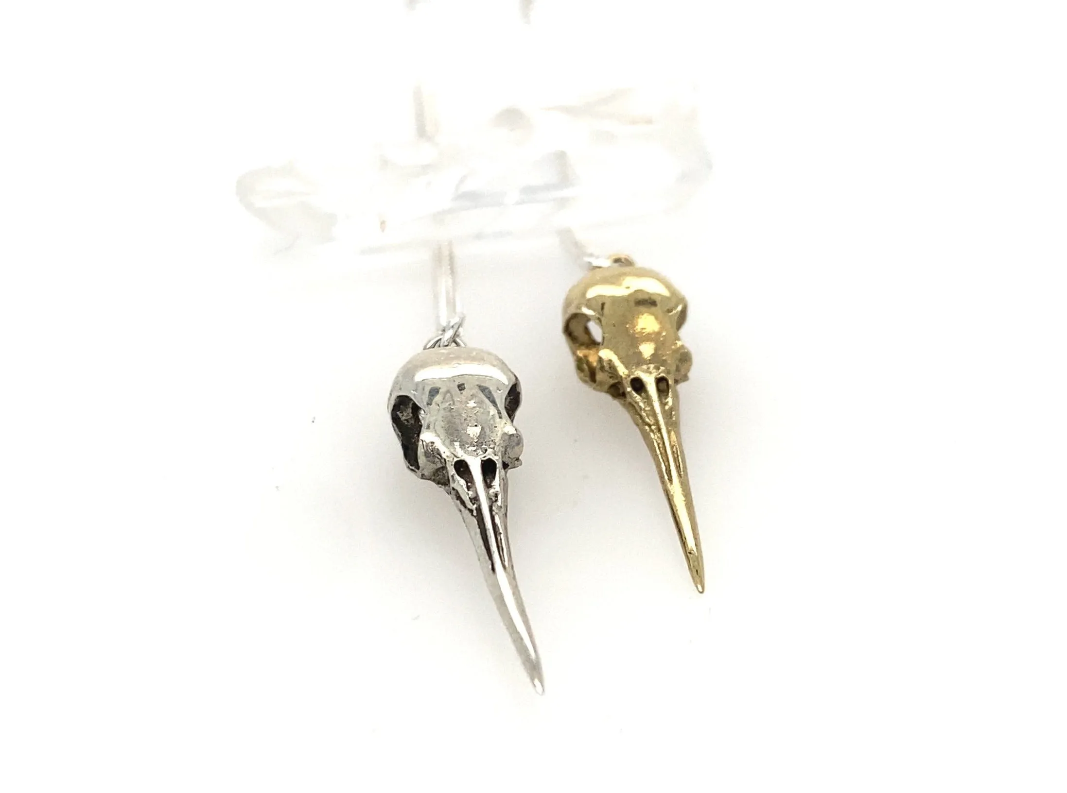 Cast Hummingbird Skull